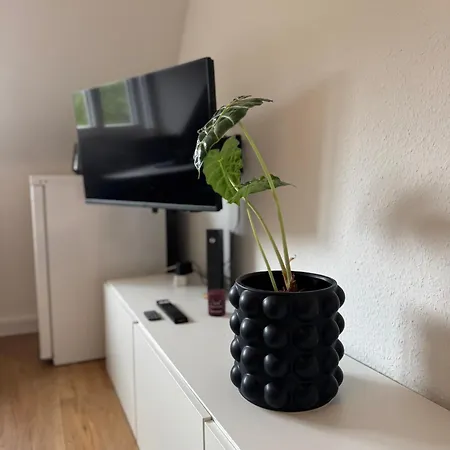 Design Westwing Lejlighed Freiburg im Breisgau