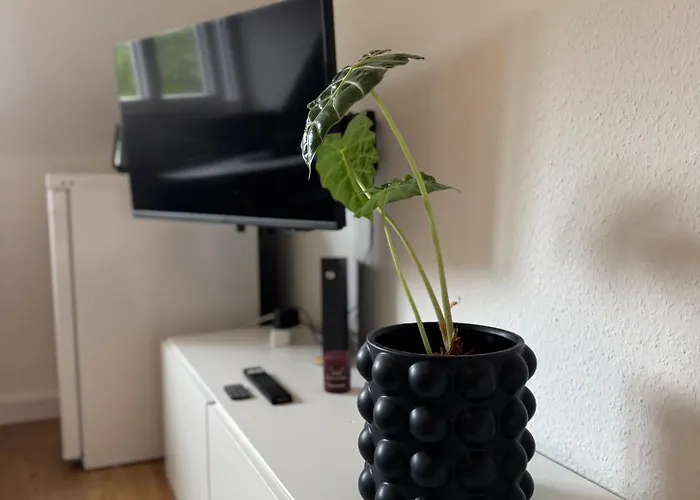 Design Westwing Апартаменты Фрайбург